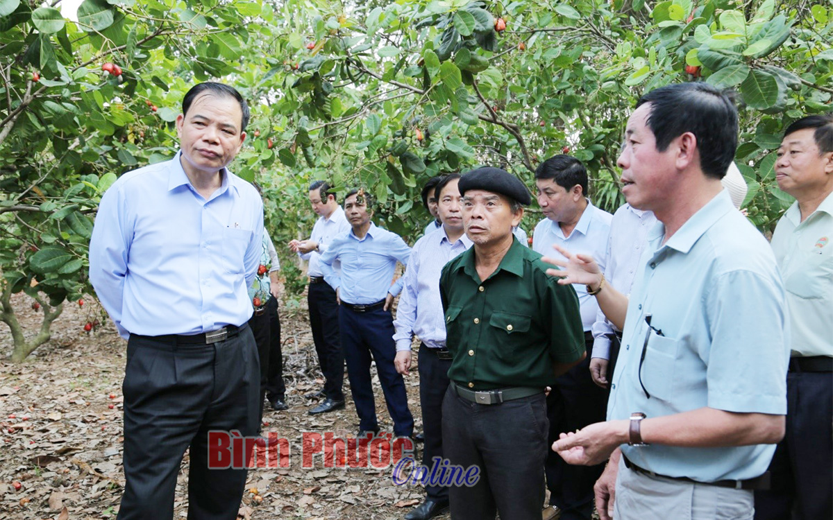 Bộ trưởng Nguyễn Xuân Cường: Tiếp tục chế biến sâu để tăng giá trị Bộ trưởng Nguyễn Xuân Cường: Tiếp tục chế biến sâu để tăng giá trị