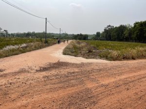 Lưu bản nháp tự động
