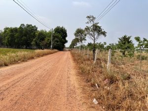 Lưu bản nháp tự động